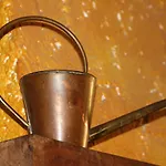 Ca' Dell'olmo * Monteciccardo