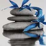 Ca' Dell'olmo Εξοχικό σπίτι