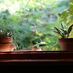 Ca' Dell'olmo Εξοχικό σπίτι *