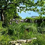 Ca' Dell'olmo Εξοχικό σπίτι Monteciccardo