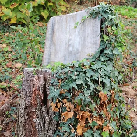 Ca' Dell'olmo Monteciccardo