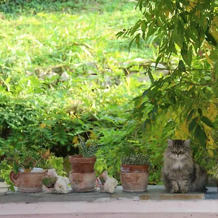 منزل ريفي Ca' Dell'olmo Monteciccardo