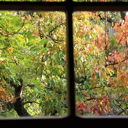 منزل ريفي Ca' Dell'olmo *