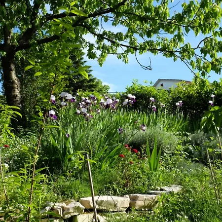 Ca' Dell'olmo منزل ريفي Monteciccardo