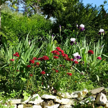 Ca' Dell'olmo Monteciccardo