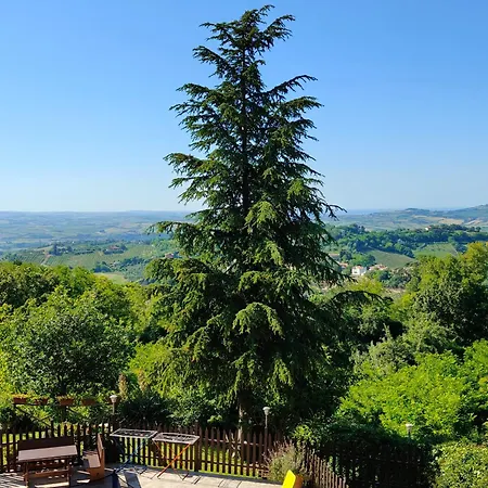 Ca' Dell'olmo * Monteciccardo