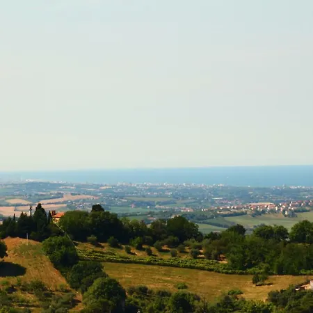 Ca' Dell'olmo Monteciccardo